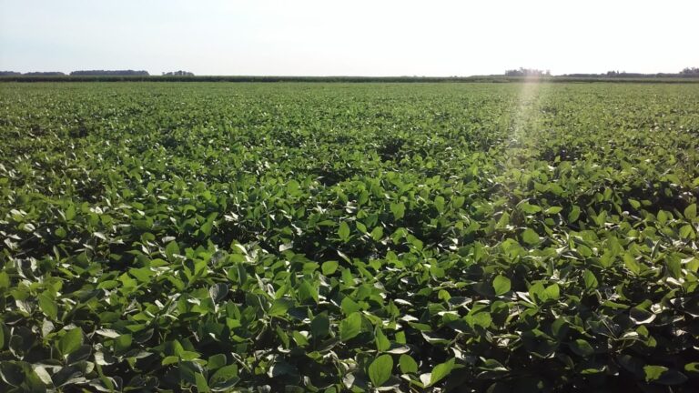 El campo, expectante más allá de la consulta de octubre