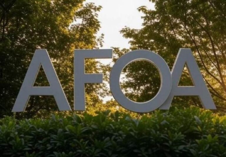 El sector forestal reclama políticas estables e incentivos para invertir