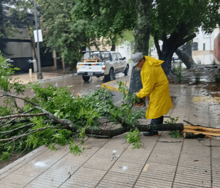 Rápida respuesta municipal tras más de100 milímetros de lluvia caídos en pocas horas