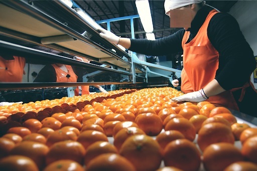 Mocoretá hizo historia y exportó jugo a Japón