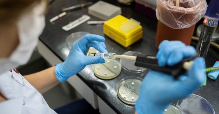 Confirman que la supergripe H3N2 llegó a la Argentina: hay dos adolescentes y un niño infectados