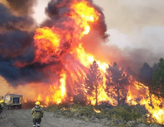 Confirman que los incendios en Chubut fueron intencionales.