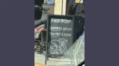 Insólito: una peluquería ofrece cortes de pelo para therians