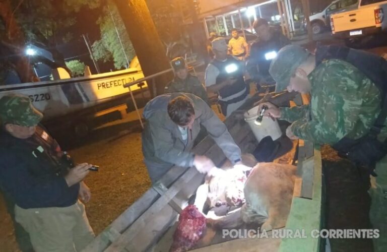 Operativo de seguridad en el Río Uruguay, cerca de la frontera con Brasil.