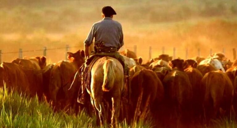 Trabajador rural en un campo de Corrientes, representando el sector beneficiado por la actualización de la prestación.