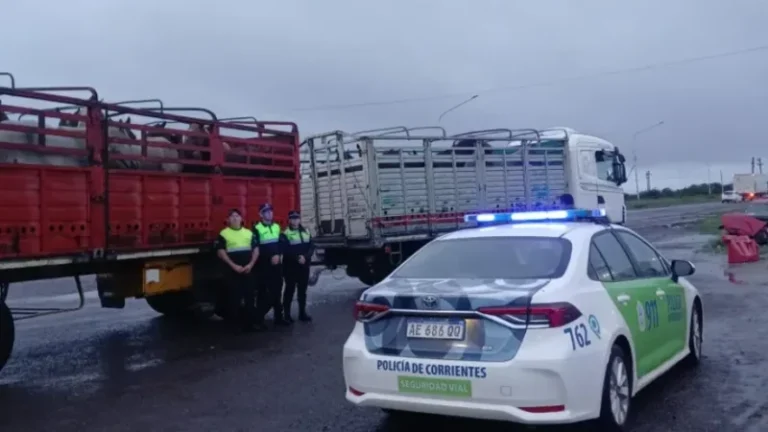 Camión de gran porte y caballos secuestrados en operativo policial en Ruta 12