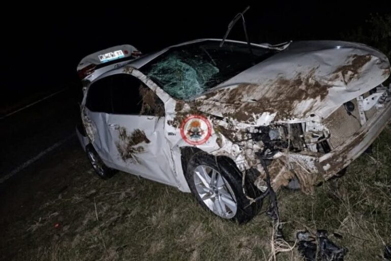Accidente de tránsito en Ruta 123 con daños materiales tras choque contra animal silvestre