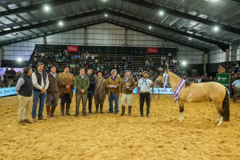 Caballos criollos en pista de juras durante las Nacionales 2026 en la Sociedad Rural de Corrientes