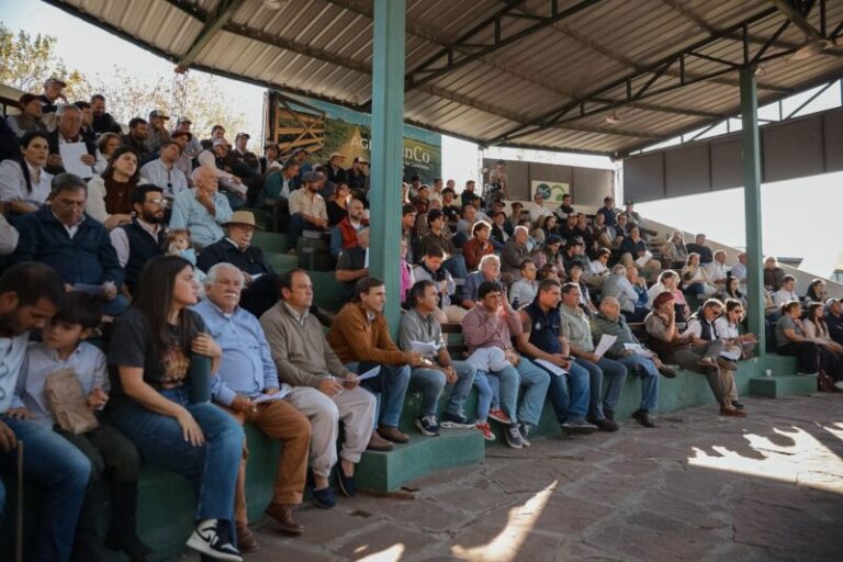 Expo Búfalos Otoño 2026 en Riachuelo, Corrientes, con stands y corrales de búfalos