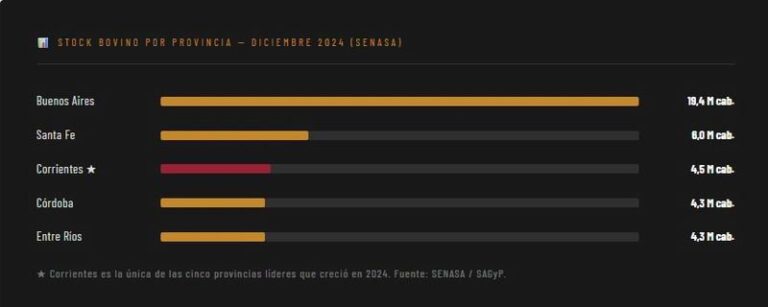 Ganado bovino en la Sociedad Rural de Corrientes durante Las Nacionales 2026