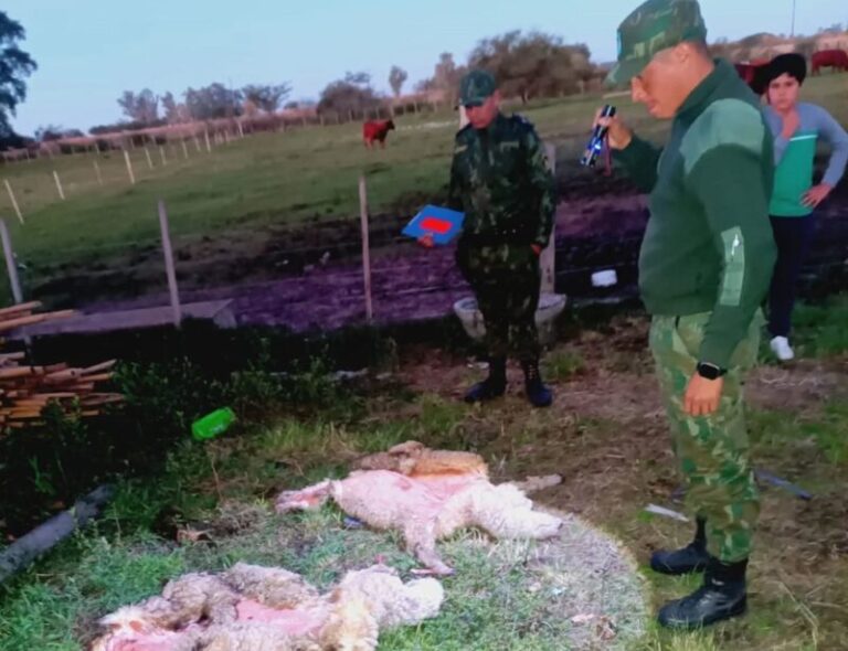 Policía Rural en allanamiento en Curuzú Cuatiá con carne ovina decomisada