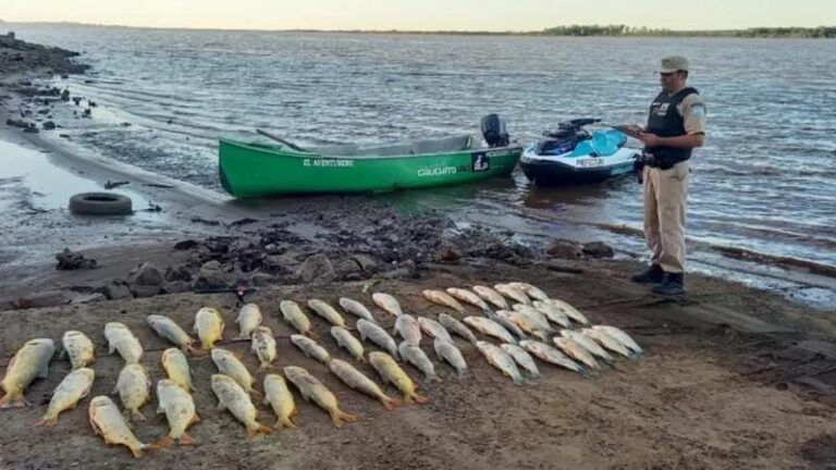 Operativo de control de recursos naturales en Corrientes
