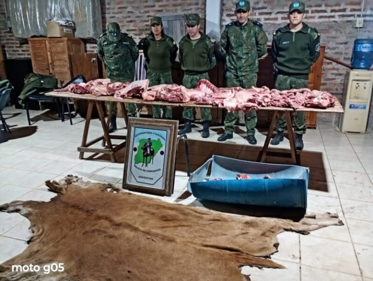 Carne vacuna y embutidos secuestrados en operativo policial en Corrientes