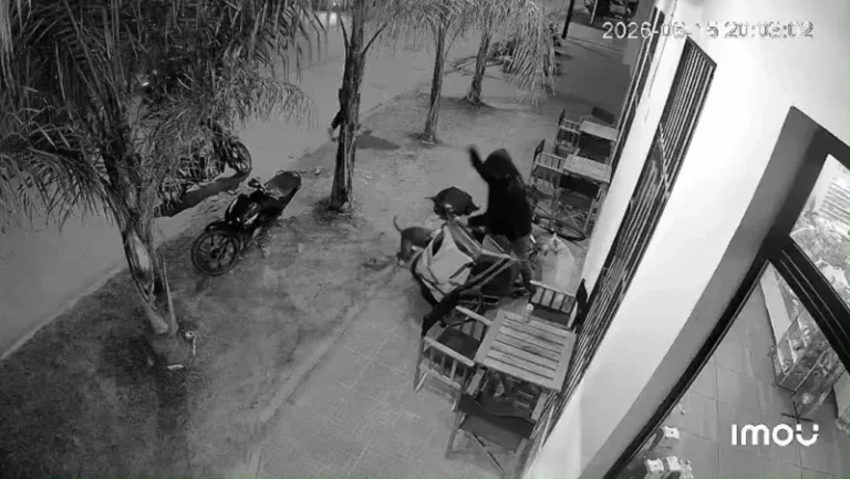 Perro de gran porte en la vía pública de Esquina