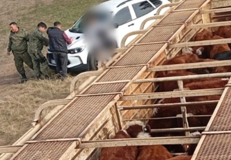 Camión jaula de la Policía de Corrientes en control vial en Ruta Nacional Nº 12