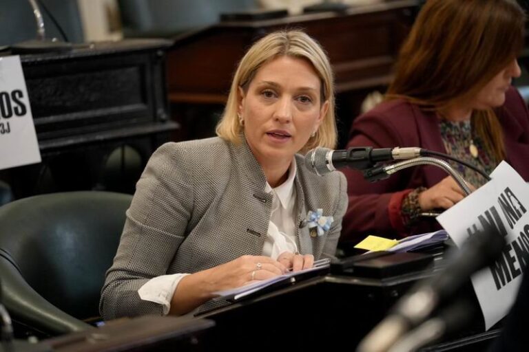 Diputada provincial Ana María Marlene Marlén Gauna durante sesión legislativa
