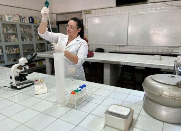 Investigadores de la Unne analizan muestras de cáscara de mandioca para alimentación porcina