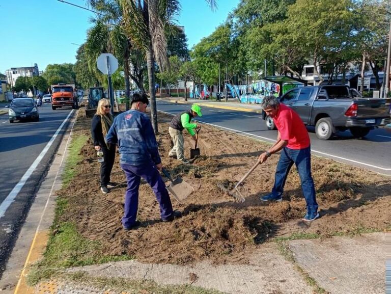 Cantero central de la avenida Pujol en Corrientes durante trabajos de mantenimiento