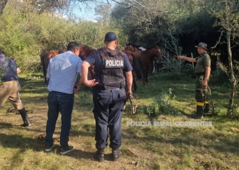 Caballos recuperados por la Policía Rural en Sauce